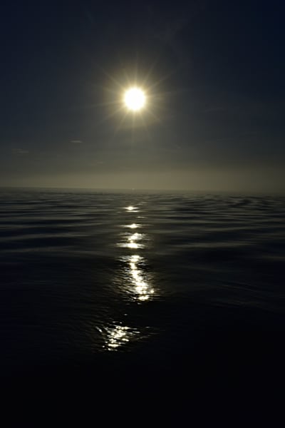 Dark  reflection