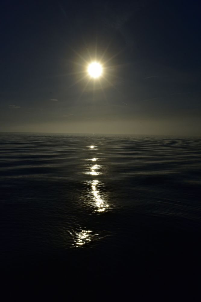 Dark  reflection