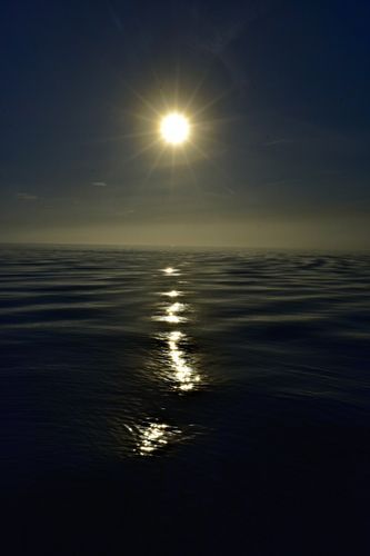 Mdawmdawmdawmdaw7qgraepd6cacehr zcfbfywxu2fyveayeunrgwctqqqltnerwweter6yomfiojy24adow ljj7f22f2vd2s3k0fn 38ezqodftc2xeuhdjufahdziomokxodj3hs jg da6ji5eudq olwagpj5emn5due6xo4kowxy1cgnuvcbbwhuzjfshp9paxfswhq9n0j9r3eseqe039askrqgrlz1iykeeepowtaeksfovc7x 4twlegzozvq3f5zutfulxyvbrcrywsvfrinv3scux5spw iugu4wd afmkmdmca