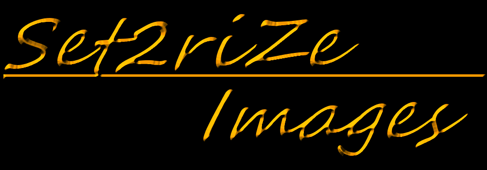 Set2Rize Images