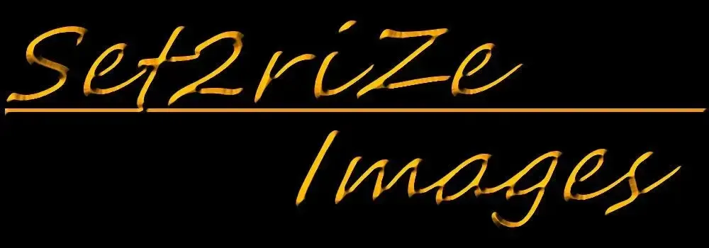 Set2Rize Images