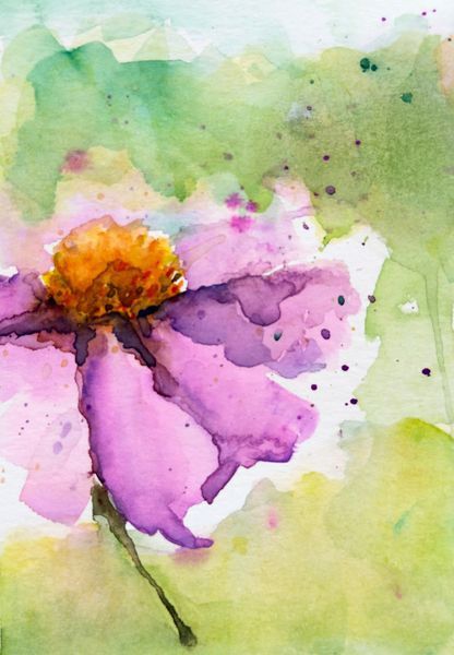 Floral Studies