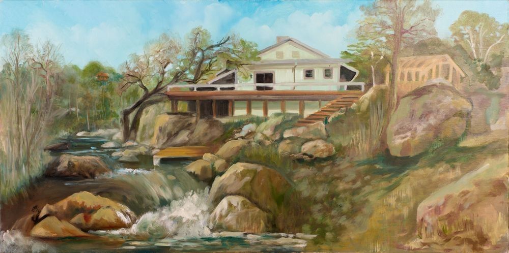 Deni artwork