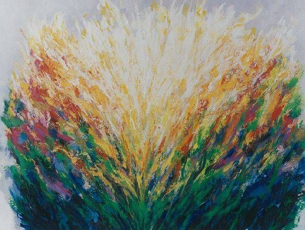 Flower Burst Art | Howard B Marshall Artworks