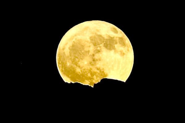 Moon