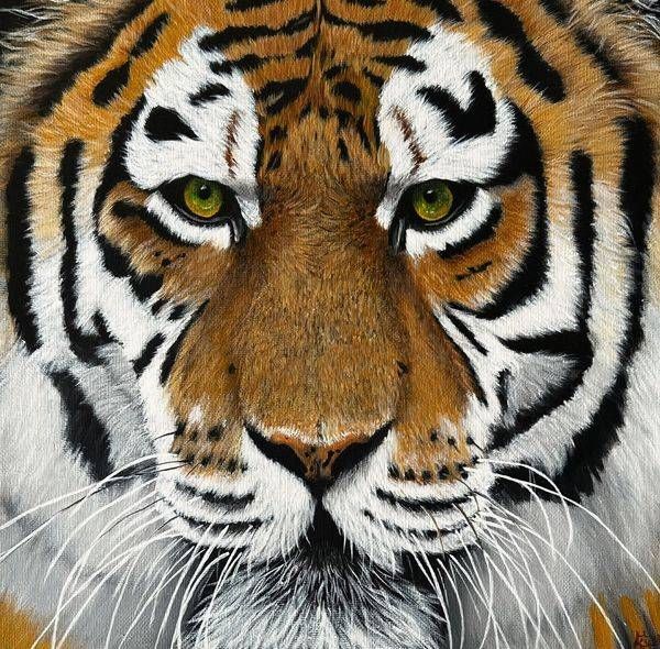 Stare Art | Kavya