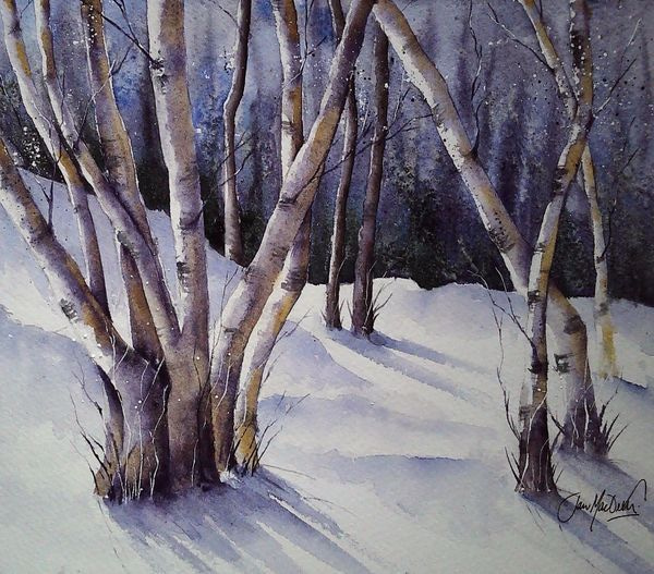 Landscape