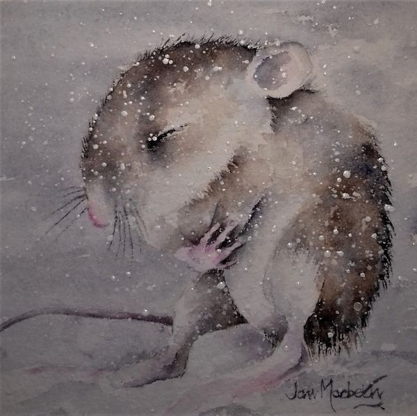 Wildlife