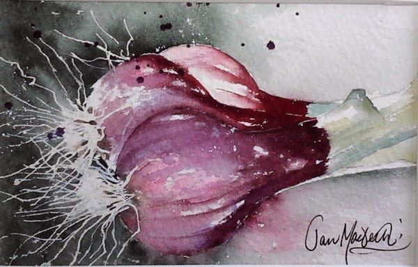 Still Life