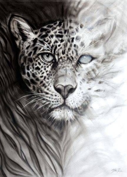 Wildlife and Nature