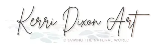 Kerri Dixon Art