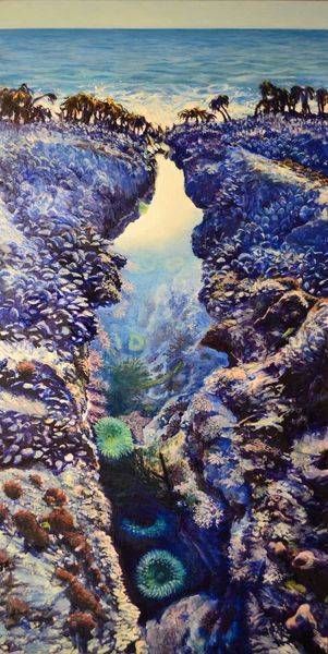 Tide Pools