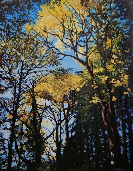 Tree Portraits