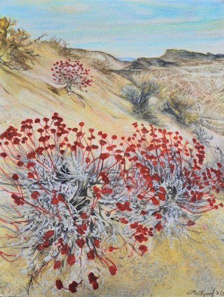 Desert Life paintings