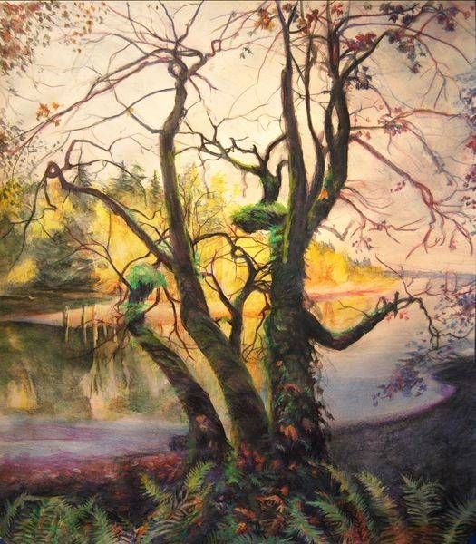 Tree Portraits