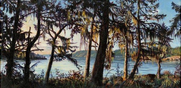 Salish Sea 