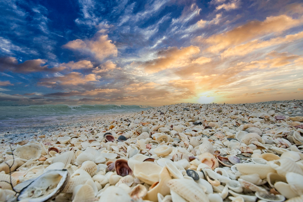 Shell Beach at Sunset