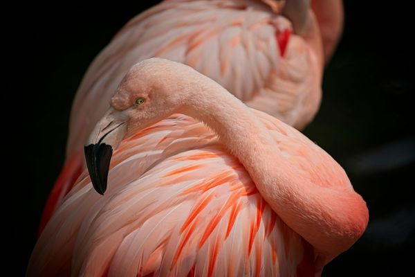 Fine Art Photography