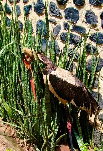 Fake Crane