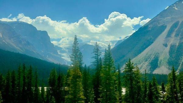 Nature's Paradise