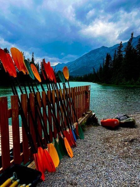 Colorful Paddles