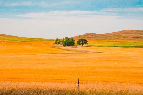 Farmscapes
