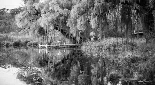 Black & White Photography