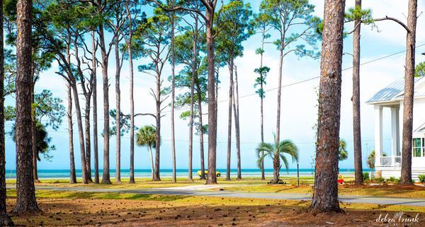 Landscape Photography