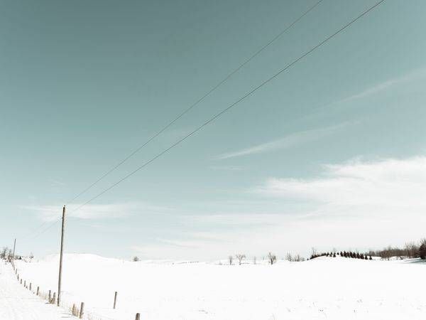 Winter Fences 2021