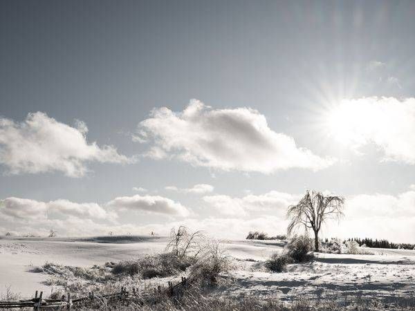 Winter Field After and Ice Storm 2020