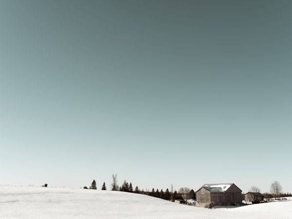 Winter Farm 2021