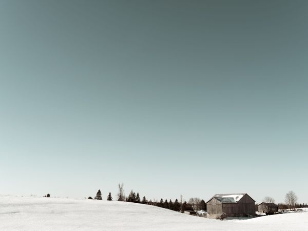 Winter