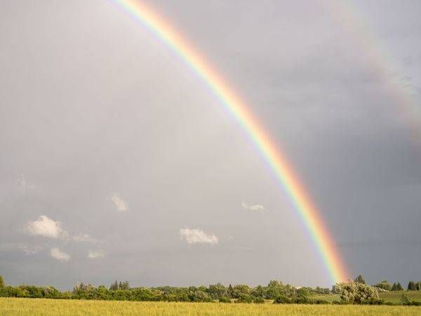 Rainbow Rising from the Trees 2024