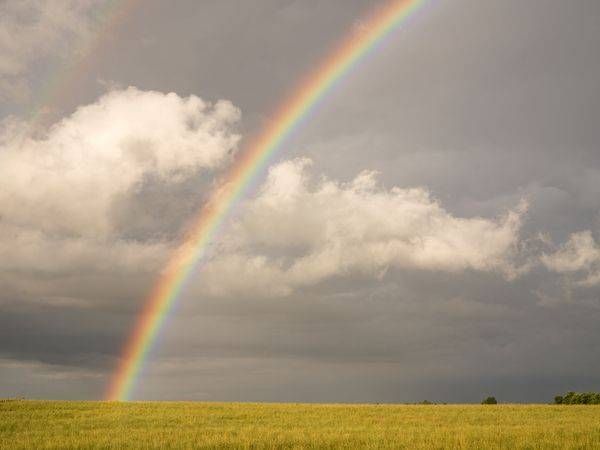 Farm Field and Rainbows 2024