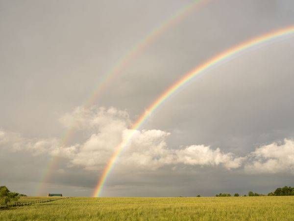 Double Rainbow 2024