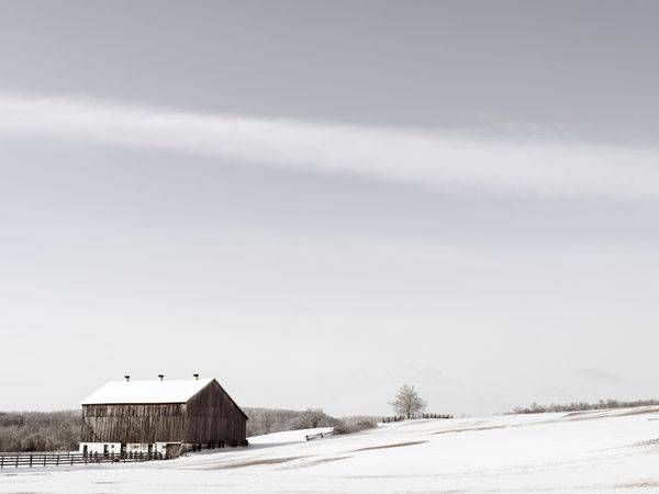Barn in Winter 2020