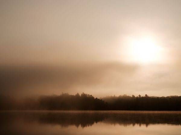 August Morning Fog on the Lake 2024 #1
