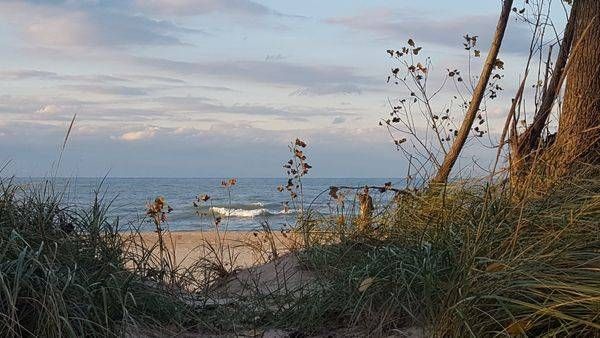 Solitary Wave