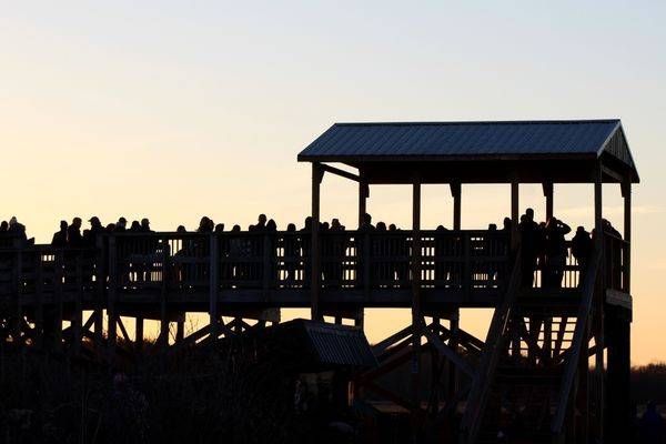 Sandhill Crane Watchtower