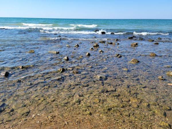 Gradient Shore