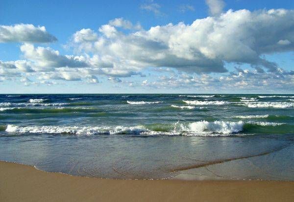 A Perfect Day