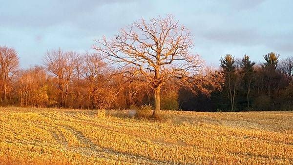 Outstanding in its Field – Autumn