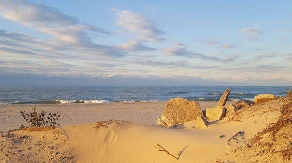 Memories of Miller Beach