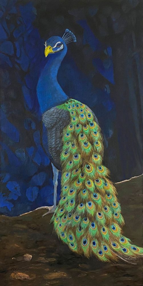 The Peacock