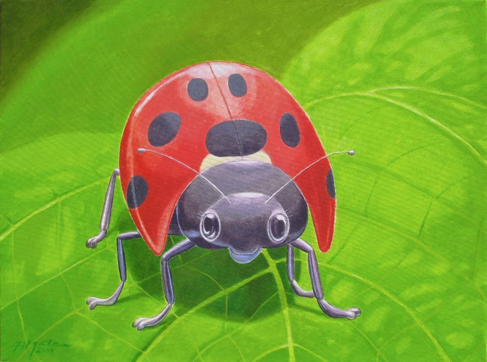 The Ladybug