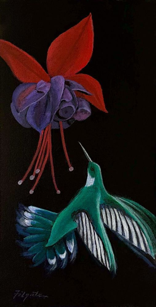 The Hummingbird