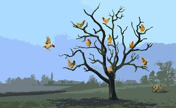 Possibili-Trees