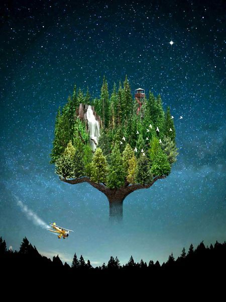 Possibili-Trees