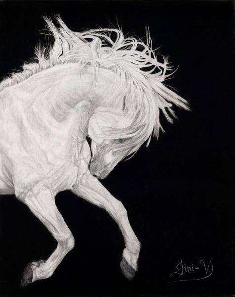 Fine Art Prints