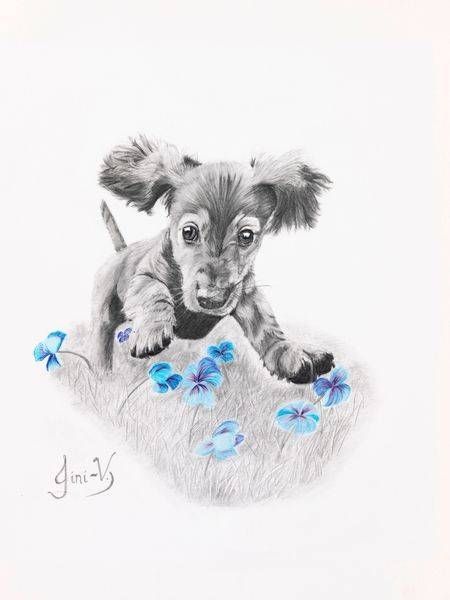 Fine Art Prints
